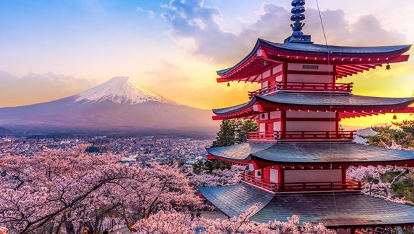 Japanischer Tempel mit Kirschblüten-Bäumen und Vulkan Futjiama